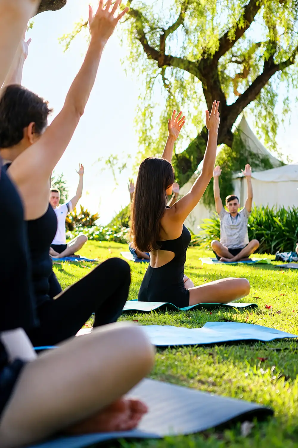 Yoga class on the lawn under the trees