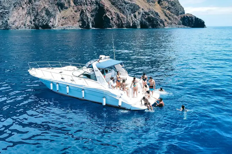 Dolphin Watching